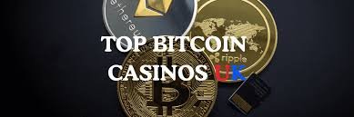 Discover the Top Bitcoin Casinos for Online Gaming Discover the Top Bitcoin Casinos for Online Gaming