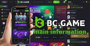 Discovering BC.Game Platform The Future of Online Gaming Discovering BC.Game Platform The Future of Online Gaming